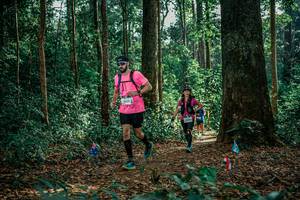 BIB: 
                            <button type="button" onclick="openModal(26132229)" class="btn btn-primary btn-sm float-right btn-popup" data-toggle="modal" data-target=".modal-high-quality">
                        <i class="fas fa-shopping-cart"></i> Add to Cart
                    </button>
                                            <button type="button" onclick="isThisMe(26132229, true)" class="btn btn-success btn-sm float-right btn-popup btn-isme hidden" data-toggle="tooltip" data-placement="bottom" title="นี่คือรูปของคุณใช่ไหม คลิกที่นี่เพื่อเอาเข้าอัลบั้ม">
                        <i class="fas fa-plus"></i> Add to album
                    </button>
                    <button type="button" onclick="isThisMe(26132229, false)" class="btn btn-warning btn-sm float-right btn-popup btn-isnotme hidden">
                        <i class="fas fa-ban"></i> Remove from album
                    </button>